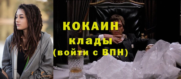 гидра Алексин