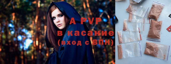 гидра Алексин