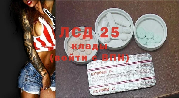 гидра Алексин