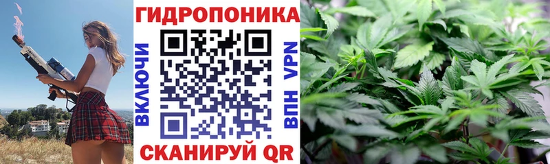Каннабис индика Дудинка